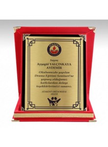 PL101 ALBÜM PLAKET 