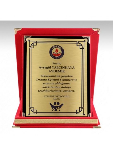 PL101 ALBÜM PLAKET