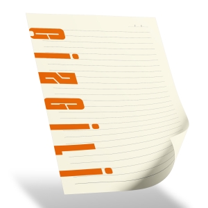 SİLİFKE FÜME TARİHSİZ DEFTER (15X21 CM)